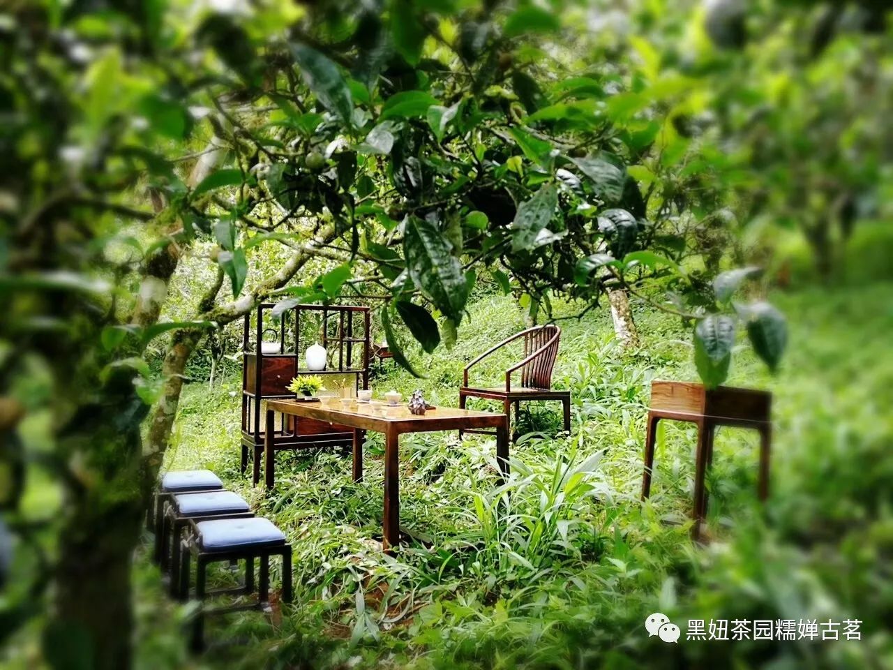 法甸：对到线致胜，排位策略深长地深寨未的简单介绍